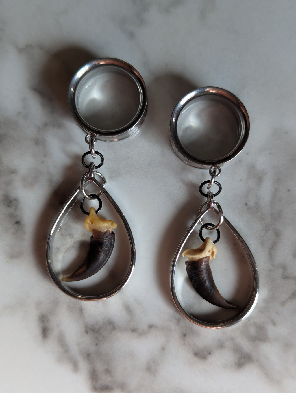 Coyote Claw dangle gauges