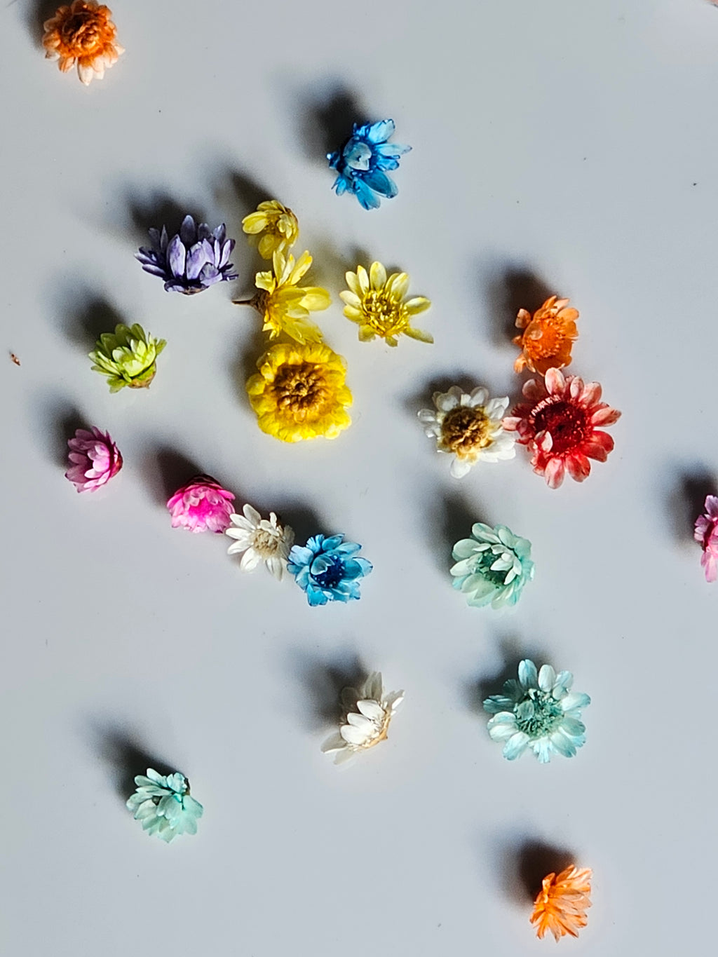 Floral Gold Plugs Gauges