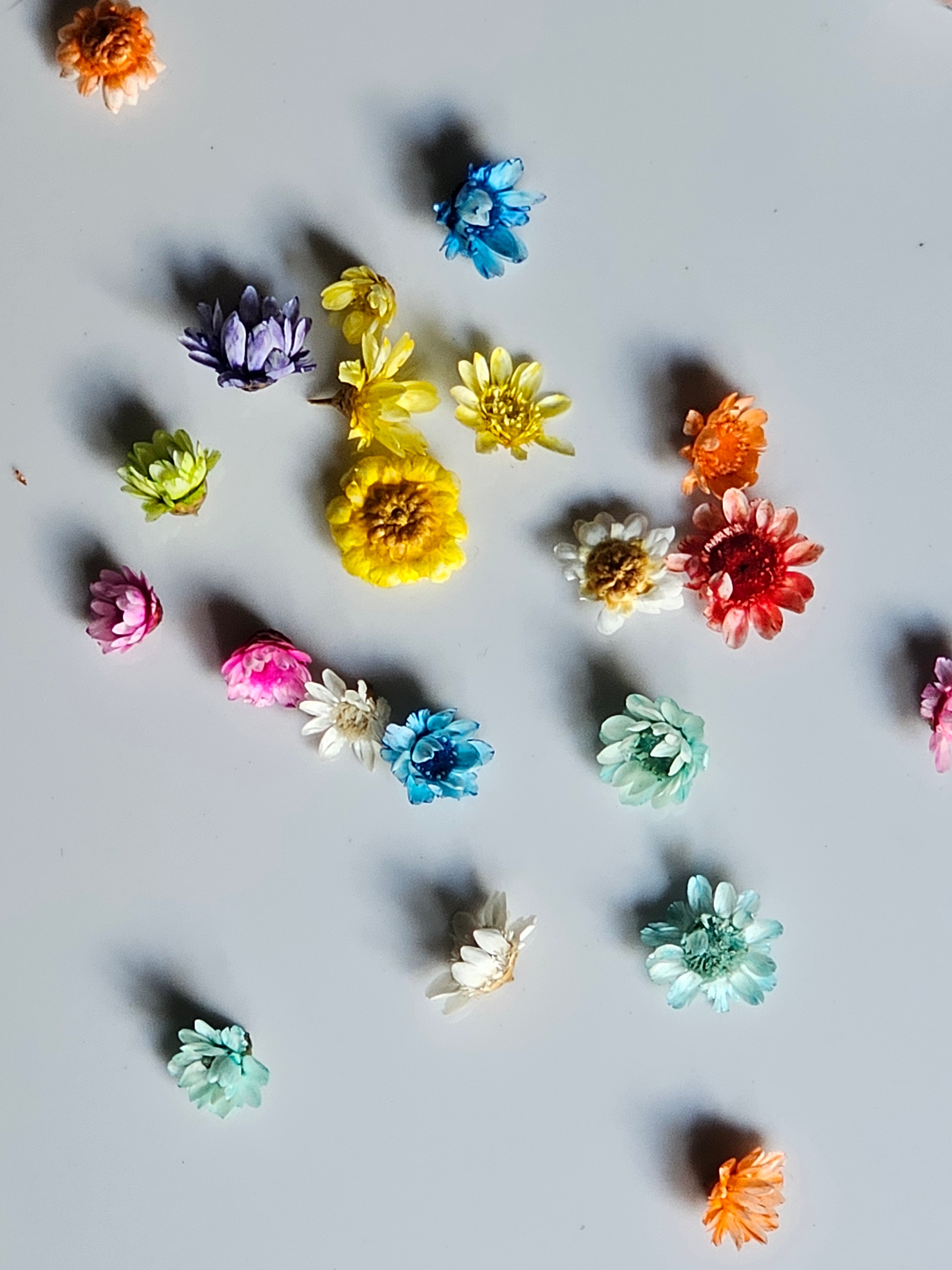 Floral Gold Plugs Gauges