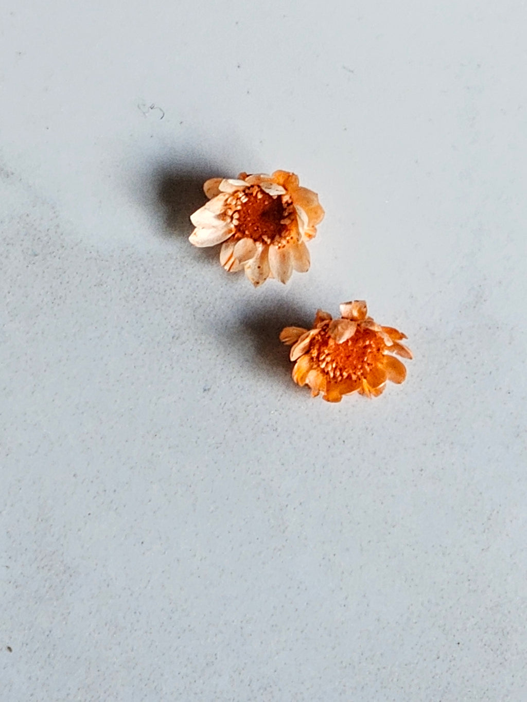 Floral Plugs Gauges